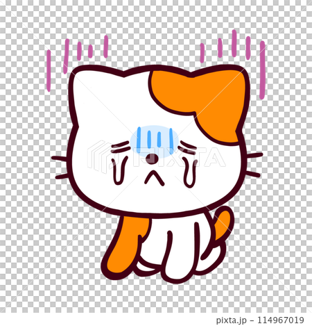 落ち込んでいるコミカルなネコ 114967019
