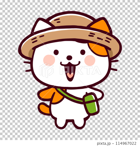 戴著草帽的滑稽貓 114967022