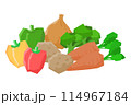 新鮮な野菜を色々寄せて並べたシンプルなイラスト 114967184