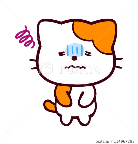 落ち込んでいるコミカルなネコ 114967285