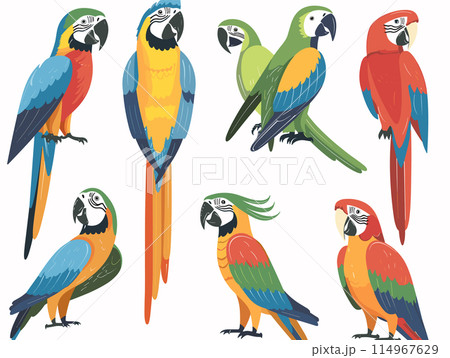 Colorful parrots sitting perches, vibrant feathers, varied poses, cartoon style, tropical birds. Exotic macaws red blue yellow green plumage, wildlife theme, perching illustrations. Bright avian 114967629