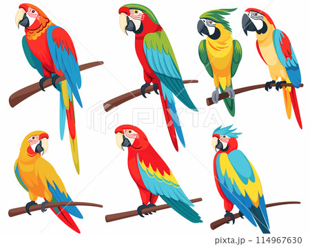 Six colorful parrots sitting perches, vibrant feathers, varied poses, cartoon style, tropical birds. Exotic macaws red blue yellow green plumage, wildlife theme, perching illustrations. Bright avian 114967630