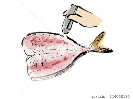 開いた魚（鯵）の小骨を抜いている和風手書きイラスト 114968186