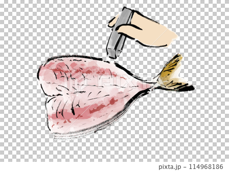 開いた魚（鯵）の小骨を抜いている和風手書きイラスト 114968186