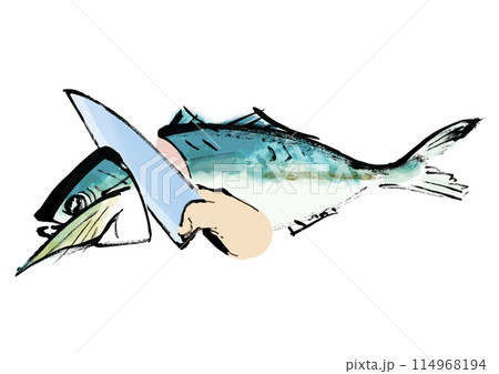 魚（鯵）を捌いている和風手書きイラスト 114968194