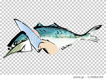 魚（鯵）を捌いている和風手書きイラスト 114968194