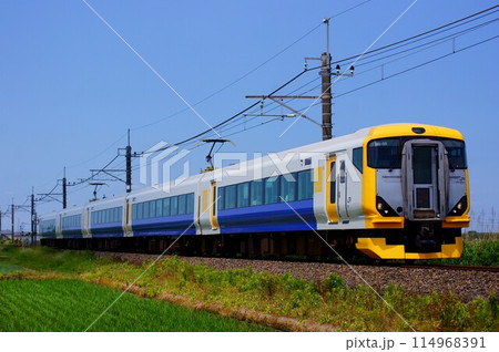 あやめ祭り期間中の特急列車 114968391