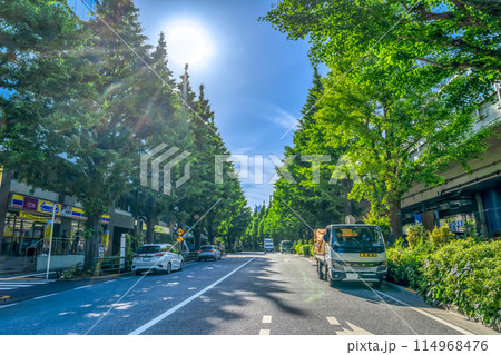 東京都渋谷区の都市風景　千駄ヶ谷駅　新緑 114968476