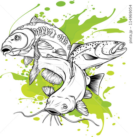 Cartoon of colored catfish vector illustration design 114969054