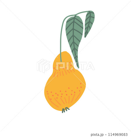 Colorful pear doodle illustration in a trendy style 114969083