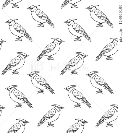 Vector seamless pattern of waxwing bird 114969199
