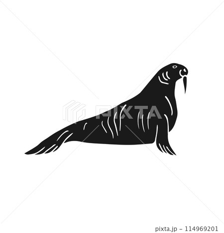 Vector hand drawn doodle sketch black walrus Vector hand drawn doodle sketch black walrus 114969201