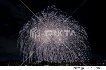 前橋花火2023 114969865