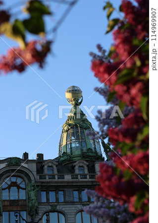 tourism, city attractions on a trip around the city in the spring. bushes of blooming lilac  114969907