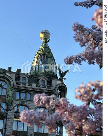 tourism, city attractions on a trip around the city in the spring. bushes of blooming lilac  114969914