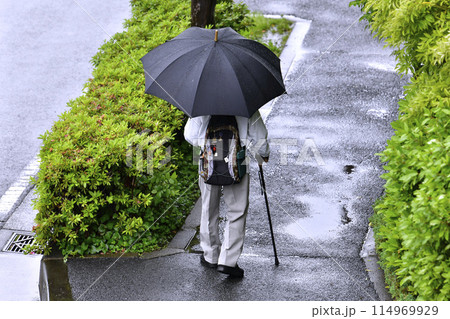 日本の横浜都市景観　高齢化社会。雨の中を歩く杖の高齢男性…＝5月13日、横浜市内 114969929