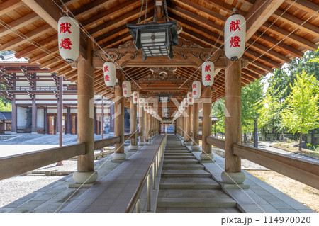 Echizen Daibutu Buddhist temple, Fukui, Japan. TRANSLATION 114970020