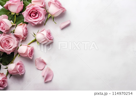 blooming pink roses flowers 114970254
