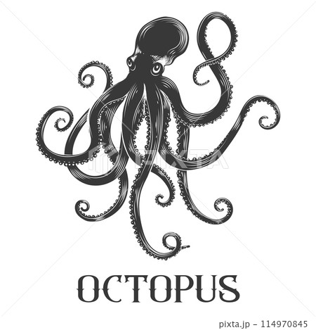 Black octopus retro sketch 114970845