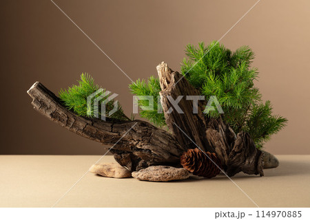 Abstract nature scene with a composition of spruce branches, stones, and dry snags. 114970885