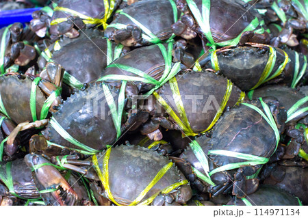 Fresh Crab Fresh Crab 114971134