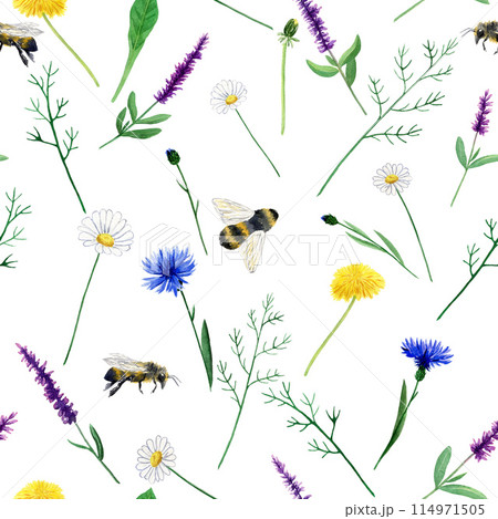Seamless floral watercolor pattern with garden flowers - chamomile, dandelion, cornflower, sage, bee. Hand drawn in watercolor for packaging, fabrics 114971505