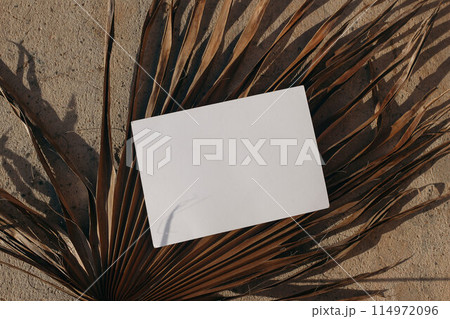 Summer exotic stationery mock-up. Horizontal empty greeting card, invitation on dry palm leaf. Textured sandstone background in sunlight. Tropical styled photo, web banner. Long shadows. Flat lay, top Summer exotic stationery mock-up. Horizontal empty greeting card, invitation on dry palm leaf. Textured sandstone background in sunlight. Tropical styled photo, web banner. Long shadows. Flat lay, top 114972096
