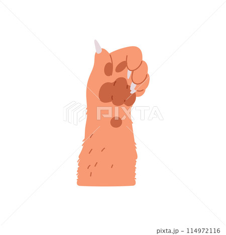 Vector illustration on a white background a dog's paw with a thumbs-up gesture 114972116