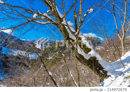 日本の岐阜県の白川郷の雪景色 114972679