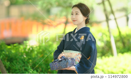 暑中見舞いイメージ_着物を着た女性 暑中見舞いイメージ_着物を着た女性 114972800