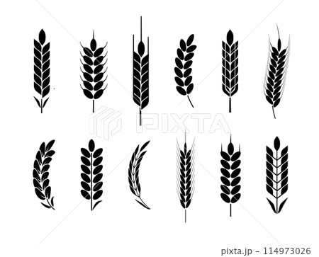 Wheat and rye logo ears. Barley rice grains and elements for beer or organic agricultural food. Vector 114973026