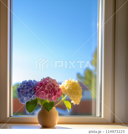 窓辺にある陶器の花瓶に活けられた三色の紫陽花 窓辺にある陶器の花瓶に活けられた三色の紫陽花 114973225