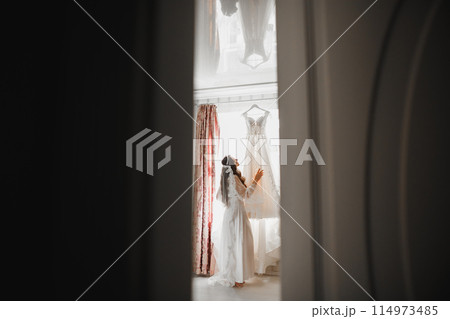 Beauty portrait of bride wearing fashion wedding dress with feathers with luxury delight make-up and hairstyle 114973485