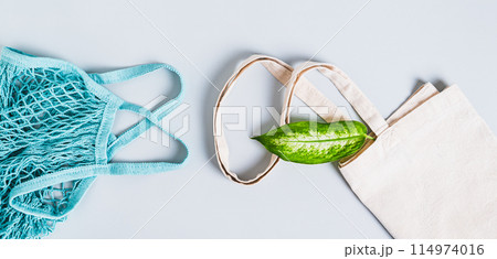 Eco friendly textile bag with fresh leaf and string bag on blue background top view web banner 114974016