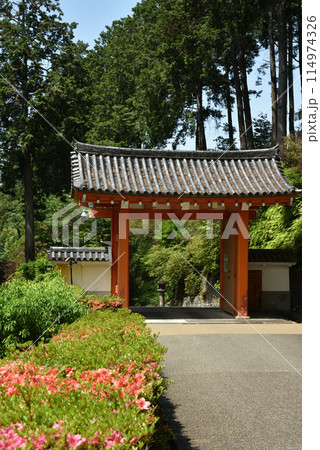 三室戸寺　山門とサツキ 114974326