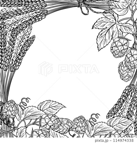 Border frame with barley, grain malt, hops. Ingredients for brewing. An illustration with black and white vector graphics. For the design of labels, packages, poster about beer production, oktoberfest Border frame with barley, grain malt, hops. Ingredients for brewing. An illustration with black and white vector graphics. For the design of labels, packages, poster about beer production, oktoberfest 114974338