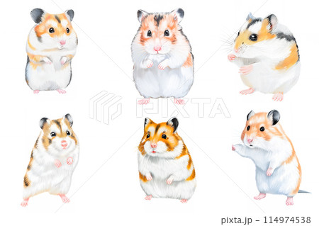 アナログタッチ、手描き風の可愛いハムスターのイラストセット　子年　年賀状素材　AI生成画像　 114974538