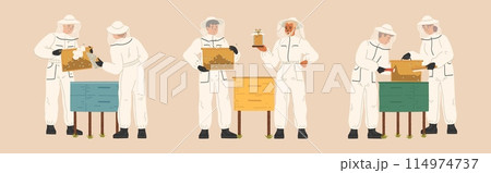 Men and women in beekeepers suit gathering honey at apiculture 114974737
