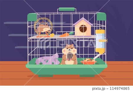 Hamsters in cage. Cartoon fatty hamster with friend, domestic cute animals and equipment. Fluffy pets, childish mascots, nowaday vector scene Hamsters in cage. Cartoon fatty hamster with friend, domestic cute animals and equipment. Fluffy pets, childish mascots, nowaday vector scene 114974865