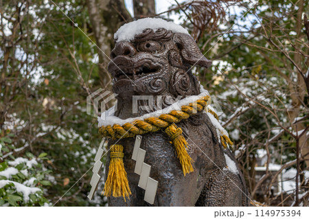 Komainu, or lion-dog, in winter snow, with sacred shimenawa rope. Kanazawa, Japan. Komainu, or lion-dog, in winter snow, with sacred shimenawa rope. Kanazawa, Japan. 114975394