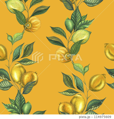 Watercolor seamless pattern with lemon branches and lime branch with leaves and green lemon. Hand painted yellow fruits isolated on mustard background. Fresh citrus illustration for wrapping paper 114975609