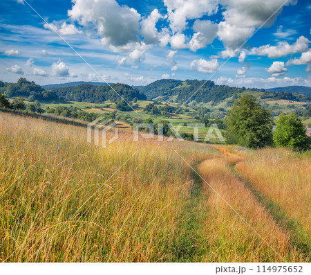 Amazing summer landscape nier Biertan in Romania. 114975652