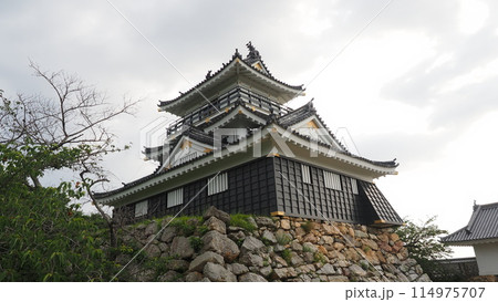 出世城 浜松城天守 出世城 浜松城天守 114975707