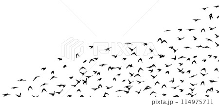 Flying birds silhouette flock. Not AI, Free birds abstraction . Vector illustration 114975711