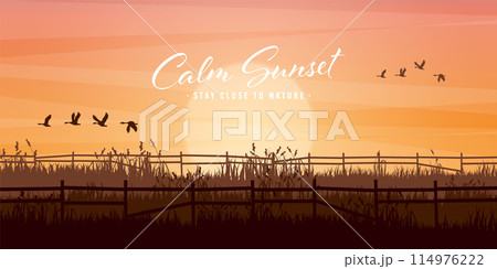 Meadow silhouettes with grass and old wooden fence. Countryside, panoramic summer lawn rural landscape with herbs, weeds. Agriculture and farming. Summer sunset in nature. Vector illustration Meadow silhouettes with grass and old wooden fence. Countryside, panoramic summer lawn rural landscape with herbs, weeds. Agriculture and farming. Summer sunset in nature. Vector illustration 114976222