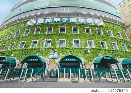 阪神甲子園球 阪神甲子園球 114976340