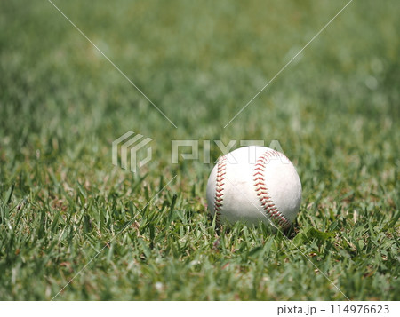 野球のボール(硬式) 野球のボール(硬式) 114976623
