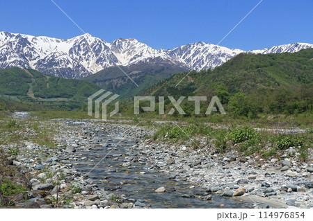 白馬の5月 山麓から望む残雪の北アルプス 白馬の5月 山麓から望む残雪の北アルプス 114976854