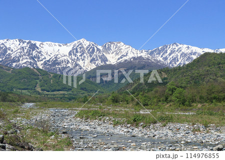 白馬の5月　山麓から望む残雪の北アルプス 114976855