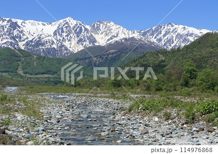 白馬の5月 山麓から望む残雪の北アルプス 白馬の5月 山麓から望む残雪の北アルプス 114976868